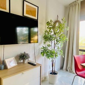 Studio Appartement